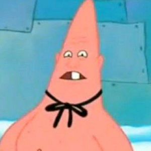 Meet your Posher, Vernon